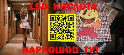 спиды Донской