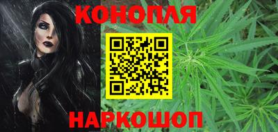 спиды Донской