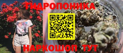 МДПВ Донецк