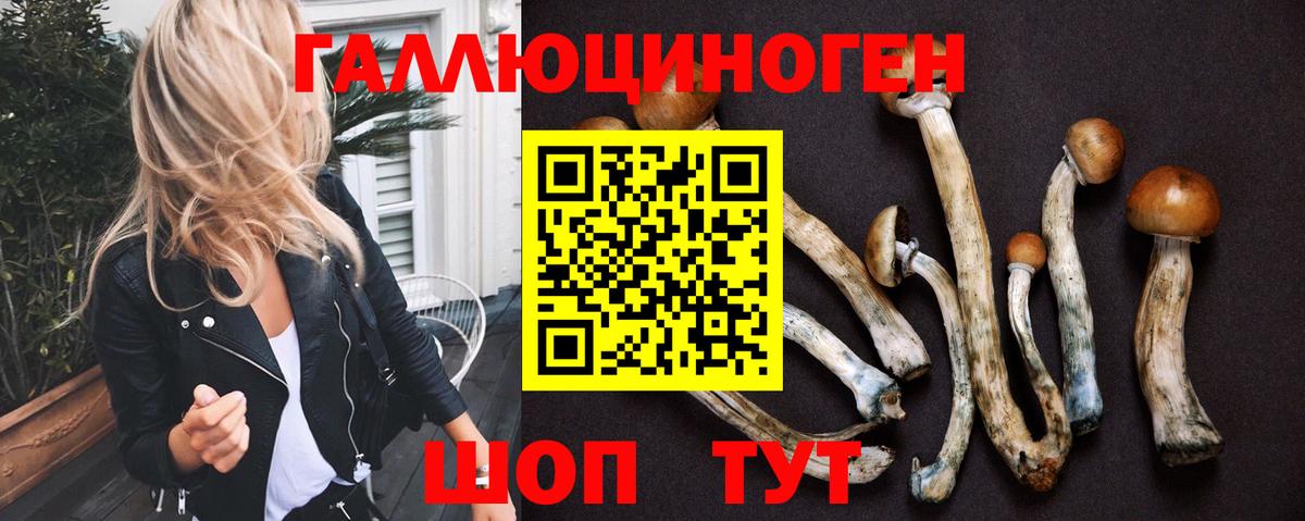 Галлюциногенные грибы ЛСД  Вход с VPN  Можга  Псилоцибиновые грибы MAGIC MUSHROOMS 